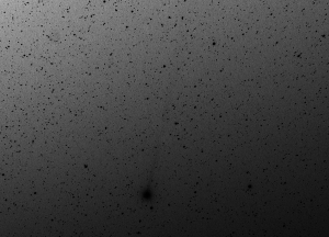 20141223ラブジョイ彗星白黒反転