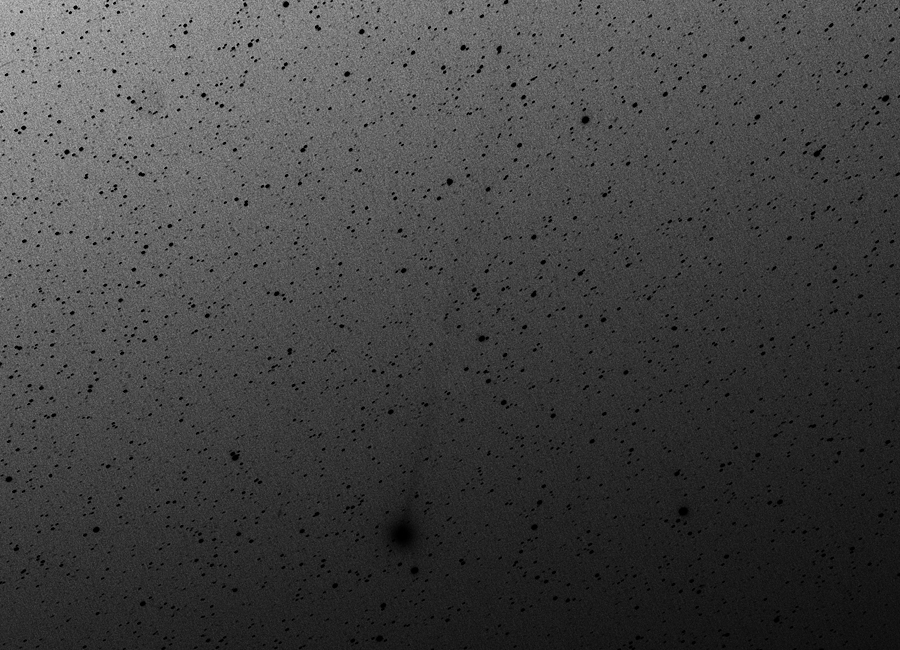 20141223ラブジョイ彗星白黒反転
