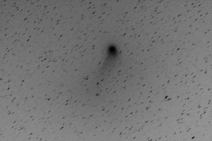 20160128カタリナ彗星（C/2013US10）