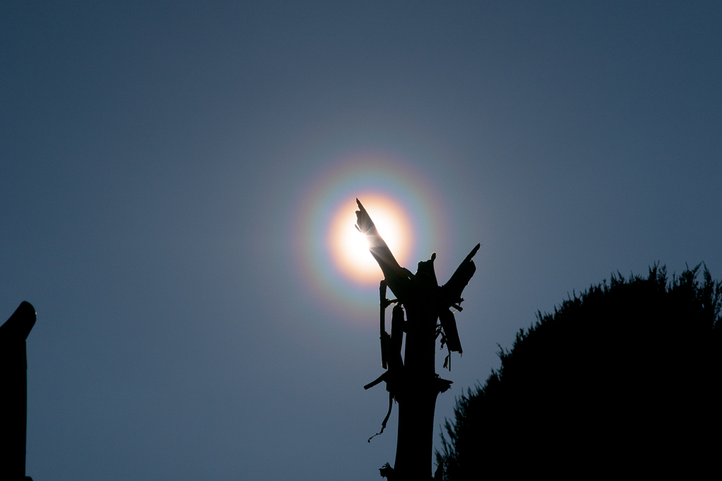 20160315花粉光環