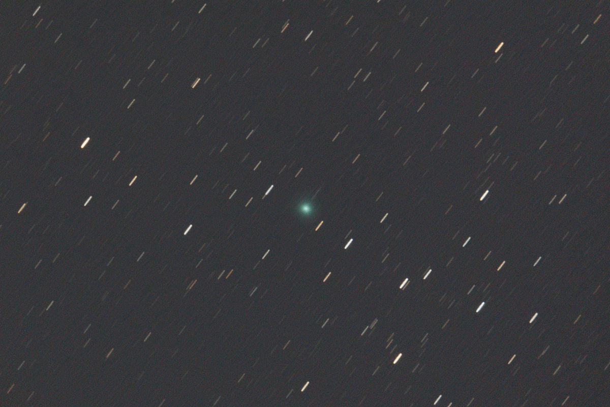 20161230ネオワイズ彗星（C/2016U1）