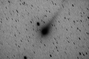 20170529ジョンソン彗星（C/2015 V2）白黒反転