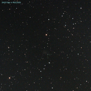 20180210_SN2018gv_in_NGC2525