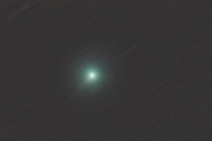 20190212岩本彗星（C/2018Y1）