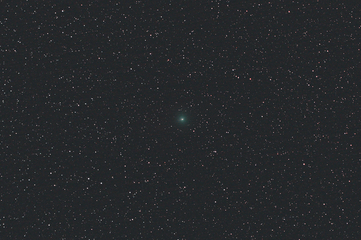 20190222岩本彗星（C/2018Y1）