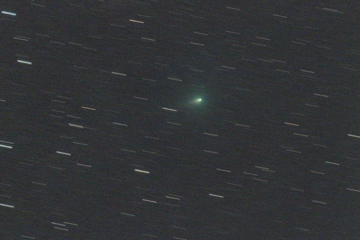 20200405アトラス彗星（C/2019 Y4）