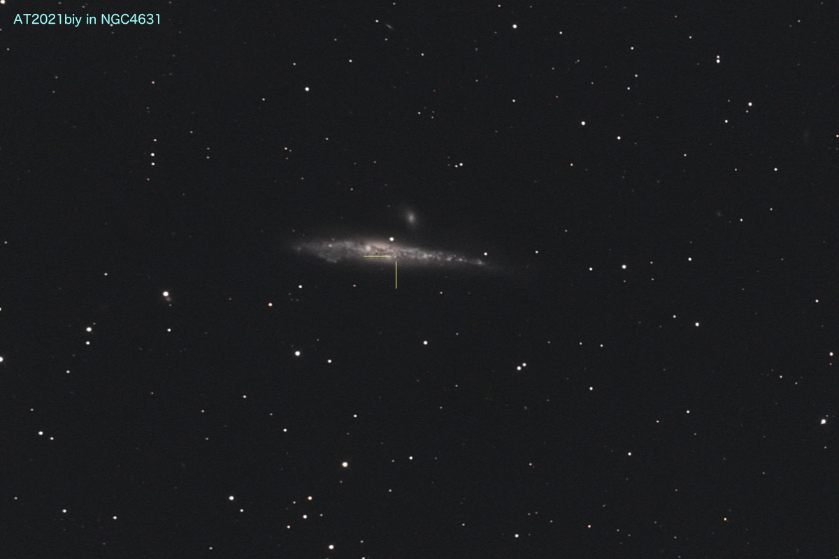 20210207_AT2021biy in NGC4631