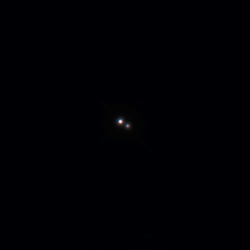 20210225_35Sex
