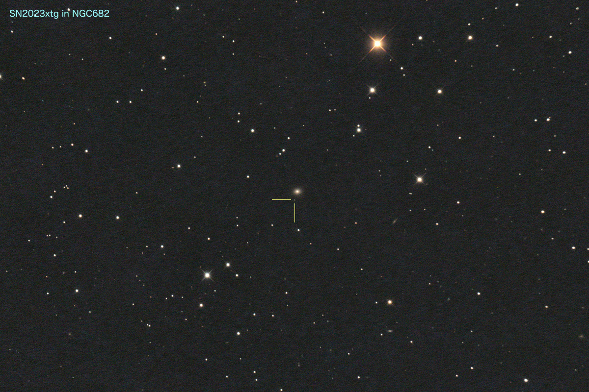 20231115_SN2023xtg in NGC682