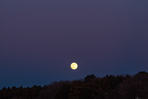 20260103月とビーナスベルト