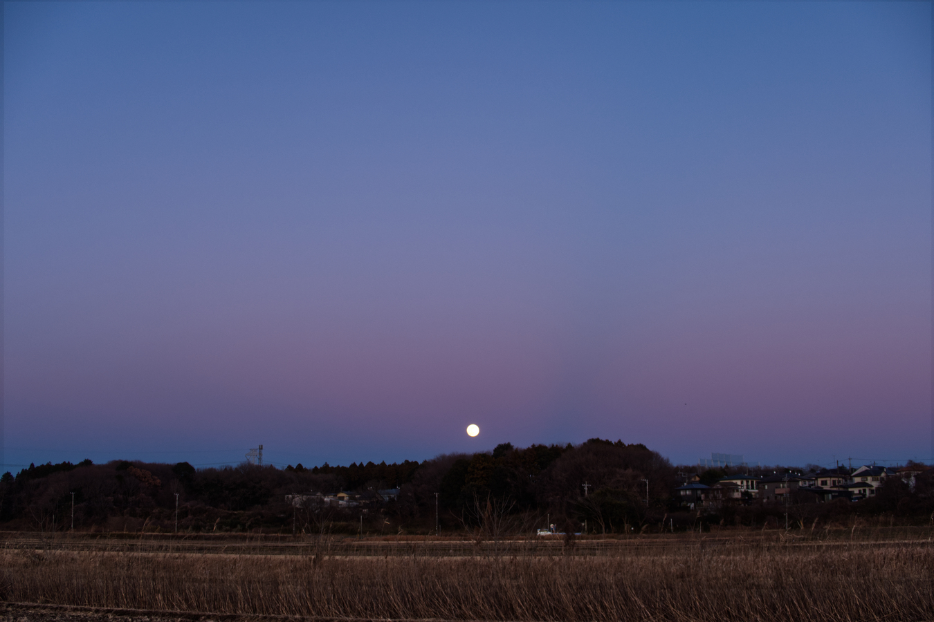 20260103月とビーナスベルト