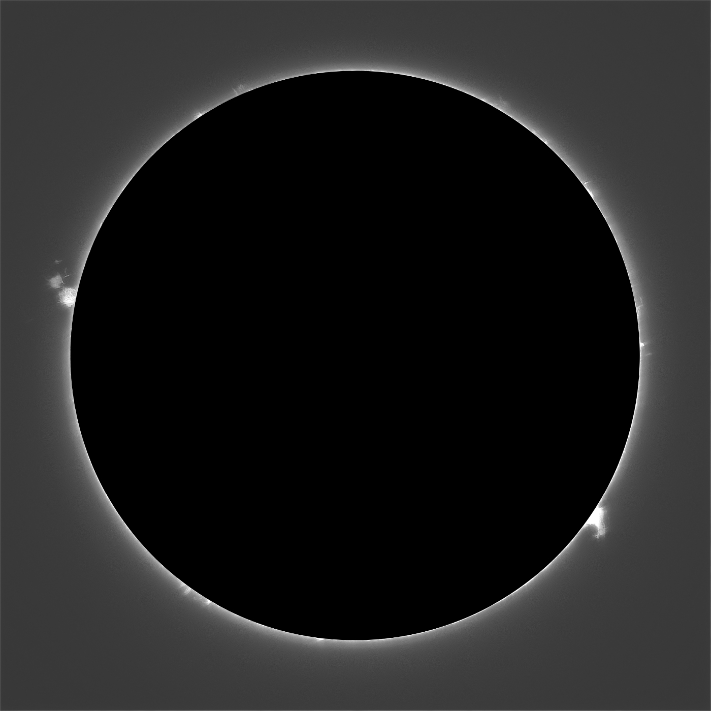 20260503太陽リム